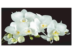 4062144204764 - Küchenrückwand ARTLAND Weiße Orchidee auf schwarzem Hintergrund Spritzschutzwände Gr B H 120 cm x 65 cm weiß Küchendekoration Alu Spritzschutz mit Klebeband einfache Montage