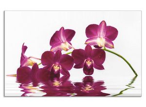 4062144204856 - Küchenrückwand ARTLAND Phalaenopsis Orchidee Spritzschutzwände Gr B H 80 cm x 50 cm lila Küchendekoration Alu Spritzschutz mit Klebeband einfache Montage