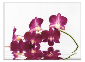 4062144204870 - Küchenrückwand ARTLAND Phalaenopsis Orchidee Spritzschutzwände Gr B H 80 cm x 60 cm lila Küchendekoration Alu Spritzschutz mit Klebeband einfache Montage