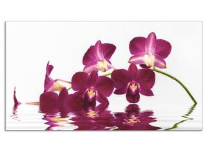 4062144204894 - Küchenrückwand ARTLAND Phalaenopsis Orchidee Spritzschutzwände Gr B H 90 cm x 50 cm lila Küchendekoration Alu Spritzschutz mit Klebeband einfache Montage