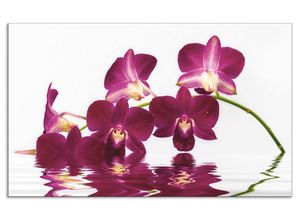 4062144204900 - Küchenrückwand ARTLAND Phalaenopsis Orchidee Spritzschutzwände Gr B H 90 cm x 55 cm lila Küchendekoration Alu Spritzschutz mit Klebeband einfache Montage