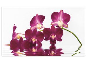 4062144204955 - Küchenrückwand ARTLAND Phalaenopsis Orchidee Spritzschutzwände Gr B H 100 cm x 60 cm lila Küchendekoration Alu Spritzschutz mit Klebeband einfache Montage