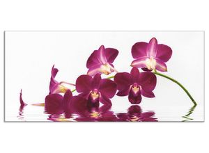 4062144204979 - Küchenrückwand ARTLAND Phalaenopsis Orchidee Spritzschutzwände Gr B H 110 cm x 50 cm lila Küchendekoration Alu Spritzschutz mit Klebeband einfache Montage