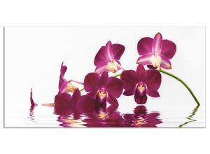 4062144205037 - Küchenrückwand ARTLAND Phalaenopsis Orchidee Spritzschutzwände Gr B H 120 cm x 60 cm lila Küchendekoration Alu Spritzschutz mit Klebeband einfache Montage