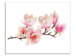 4062144205105 - Küchenrückwand ARTLAND Magnolie Spritzschutzwände Gr B H 70 cm x 55 cm pink Küchendekoration Alu Spritzschutz mit Klebeband einfache Montage