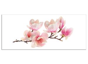 4062144205297 - Küchenrückwand ARTLAND Magnolie Spritzschutzwände Gr B H 120 cm x 50 cm pink Küchendekoration Alu Spritzschutz mit Klebeband einfache Montage