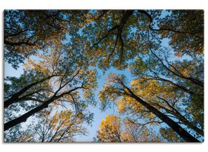 4062144218624 - Wandbild ARTLAND Herbst im Wald Bilder Gr B H 80 cm x 120 cm Leinwandbild Bäume Hochformat 1 St blau Bild Poster Bilder als Alubild Leinwandbild Wandaufkleber oder in versch Größen