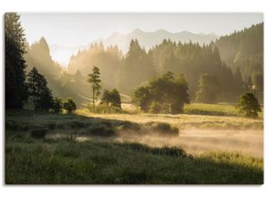 4062144270080 - Wandbild ARTLAND Sommermorgen in den Alpen Bilder Gr B H 90 cm x 60 cm Leinwandbild Wiesen & Bäume Querformat 1 St grün Bild Poster Bilder als Alubild Leinwandbild Wandaufkleber oder in versch Größen