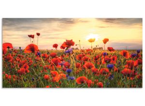 4062144278109 - Wandbild ARTLAND Mohnblumen Bilder Gr B H 100 cm x 50 cm Alu-Dibond-Druck Blumen Querformat 1 St rot Bild Poster Bilder als Alubild Leinwandbild Wandaufkleber oder in versch Größen