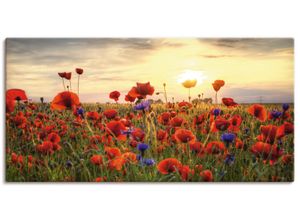 4062144278154 - Wandbild ARTLAND Mohnblumen Bilder Gr B H 100 cm x 50 cm Leinwandbild Blumen Querformat 1 St rot Bild Poster Bilder als Alubild Leinwandbild Wandaufkleber oder in versch Größen