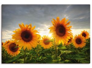 4062144278376 - Wandbild ARTLAND Sonnenblumen II Bilder Gr B H 90 cm x 60 cm Leinwandbild Blumen Querformat 1 St orange Bild Poster Bilder als Alubild Leinwandbild Wandaufkleber oder in versch Größen