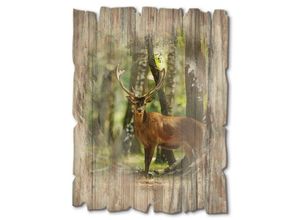 4062144361924 - Holzbild ARTLAND Hirsch 4 - Wald Bilder Gr B H 30 cm x 40 cm Holzbild Wildtiere Hochformat 1 St grün Bild Holzbild Holzbilder Bilder