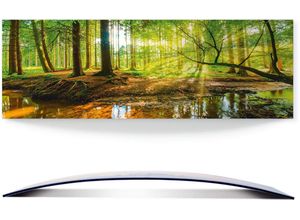 4062144363119 - Wandbild ARTLAND Wald mit Bach Bilder Gr B H 120 cm x 40 cm Alu-Dibond-Druck Wald Querformat 1 St grün Bild Metallbild Metallbilder Bilder 3D Optik gebogen