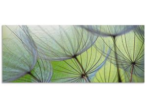 4062144463864 - Küchenrückwand ARTLAND Pusteblumen-Samen II Spritzschutzwände Gr B H 150 cm x 60 cm grün Küchendekoration Alu Spritzschutz mit Klebeband einfache Montage