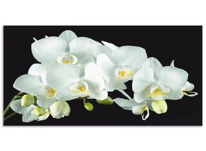 4062144464649 - Küchenrückwand ARTLAND Weiße Orchidee auf schwarzem Hintergrund Spritzschutzwände Gr B H 130 cm x 65 cm weiß Küchendekoration Alu Spritzschutz mit Klebeband einfache Montage