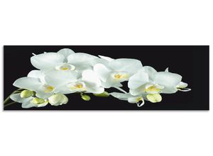 4062144464731 - Küchenrückwand ARTLAND Weiße Orchidee auf schwarzem Hintergrund Spritzschutzwände Gr B H 160 cm x 50 cm weiß Küchendekoration Alu Spritzschutz mit Klebeband einfache Montage