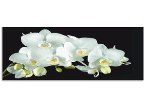 4062144464755 - Küchenrückwand ARTLAND Weiße Orchidee auf schwarzem Hintergrund Spritzschutzwände Gr B H 160 cm x 60 cm weiß Küchendekoration Alu Spritzschutz mit Klebeband einfache Montage