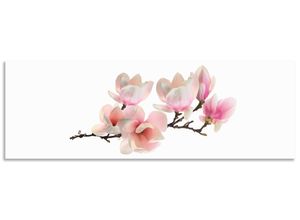 4062144465110 - Küchenrückwand ARTLAND Magnolie Spritzschutzwände Gr B H 150 cm x 50 cm pink Küchendekoration Alu Spritzschutz mit Klebeband einfache Montage