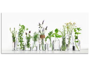 4062144473740 - Küchenrückwand ARTLAND Öle mit Kräutern Spritzschutzwände Gr B H 140 cm x 65 cm grün Küchendekoration Alu Spritzschutz mit Klebeband einfache Montage