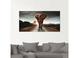 4062144533642 - Glasbild ARTLAND Ein Elefant läuft auf der Straße Bilder Gr B H 100 cm x 50 cm Glasbild Wildtiere 1 St braun Glasbilder in verschiedenen Größen