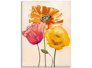 4062144557112 - Wandbild ARTLAND Bunte Mohnblumen II Bilder Gr B H 90 cm x 120 cm Leinwandbild Blumenbilder Hochformat 1 St bunt Kunstdrucke als Alubild Leinwandbild Wandaufkleber oder Poster in versch Größen