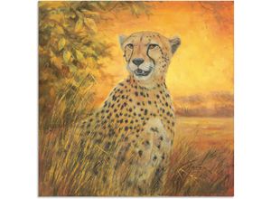 4062144592564 - Wandbild ARTLAND Porträt Gepard Bilder Gr B H 70 cm x 70 cm Alu-Dibond-Druck Geparden Bilder quadratisch 1 St braun Kunstdrucke als Alubild Leinwandbild Wandaufkleber oder Poster in versch Größen