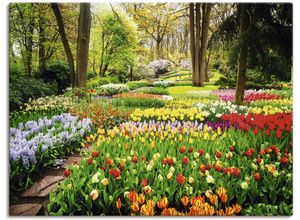 4062144594704 - Wandbild ARTLAND Tulpen Garten Frühling Bilder Gr B H 120 cm x 90 cm Leinwandbild Blumenwiese Querformat 1 St bunt Kunstdrucke als Alubild Leinwandbild Wandaufkleber oder Poster in versch Größen