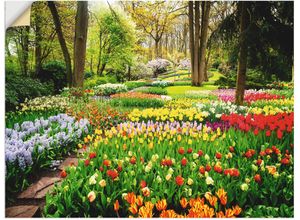 4062144594759 - Wandbild ARTLAND Tulpen Garten Frühling Bilder Gr B H 40 cm x 30 cm Wandaufkleber - Vinyl Blumenwiese Querformat 1 St bunt Kunstdrucke als Alubild Leinwandbild Wandaufkleber oder Poster in versch Größen