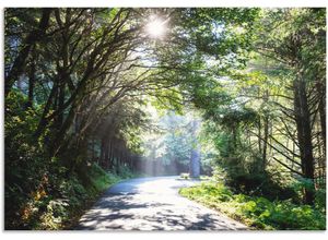 4062144596180 - Wandbild ARTLAND Sonniger Wald Bilder Gr B H 130 cm x 90 cm Alu-Dibond-Druck Baumbilder Querformat 1 St grün Kunstdrucke als Alubild Leinwandbild Wandaufkleber oder Poster in versch Größen