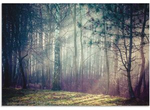 4062144596333 - Wandbild ARTLAND Sonnenstrahlen im Wald Bilder Gr B H 130 cm x 90 cm Alu-Dibond-Druck Waldbilder Querformat 1 St blau Kunstdrucke als Alubild Leinwandbild Wandaufkleber oder Poster in versch Größen