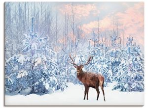 4062144598931 - Wandbild ARTLAND Hirsch im Winterwald Bilder Gr B H 120 cm x 90 cm Leinwandbild Hirschbilder Querformat 1 St blau Kunstdrucke als Alubild Leinwandbild Wandaufkleber oder Poster in versch Größen