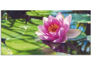 4062144620960 - Wandbild ARTLAND Seerose Nahaufnahme Bilder Gr B H 100 cm x 50 cm Alu-Dibond-Druck Blumenbilder Querformat 1 St grün Kunstdrucke als Alubild Leinwandbild Wandaufkleber oder Poster in versch Größen