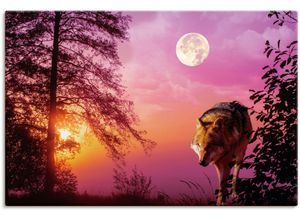 4062144622025 - Wandbild ARTLAND Wolf im Vollmond Bilder Gr B H 120 cm x 80 cm Leinwandbild Wolfbilder Querformat 1 St lila Kunstdrucke als Alubild Leinwandbild Wandaufkleber oder Poster in versch Größen