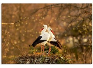 4062144623022 - Wandbild ARTLAND Storchenpaar Bilder Gr B H 120 cm x 80 cm Leinwandbild Vogelbilder Querformat 1 St braun Kunstdrucke als Alubild Leinwandbild Wandaufkleber oder Poster in versch Größen