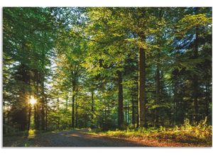 4062144633779 - Wandbild ARTLAND Waldweg im Romantischen Schwarzwald Bilder Gr B H 120 cm x 80 cm Alu-Dibond-Druck Waldbilder Querformat 1 St grün Kunstdrucke als Alubild Leinwandbild Wandaufkleber oder Poster in versch Größen