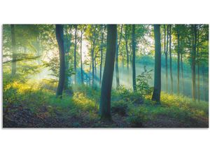 4062144638965 - Wandbild ARTLAND Wald Panorama Bilder Gr B H 150 cm x 75 cm Alu-Dibond-Druck Waldbilder Querformat 1 St grün Kunstdrucke als Alubild Leinwandbild Wandaufkleber oder Poster in versch Größen