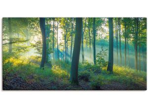 4062144638989 - Wandbild ARTLAND Wald Panorama Bilder Gr B H 150 cm x 75 cm Leinwandbild Waldbilder Querformat 1 St grün Kunstdrucke als Alubild Leinwandbild Wandaufkleber oder Poster in versch Größen