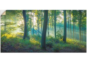 4062144639047 - Wandbild ARTLAND Wald Panorama Bilder Gr B H 150 cm x 75 cm Wandaufkleber - Vinyl Waldbilder Querformat 1 St grün Kunstdrucke als Alubild Leinwandbild Wandaufkleber oder Poster in versch Größen