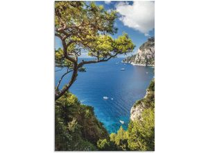 4062144661581 - Wandbild ARTLAND Punta de Masullo Insel Capri Italien Bilder Gr B H 80 cm x 120 cm Alu-Dibond-Druck Meer Bilder Hochformat 1 St blau Kunstdrucke als Alubild Leinwandbild Wandaufkleber oder Poster in versch Größen