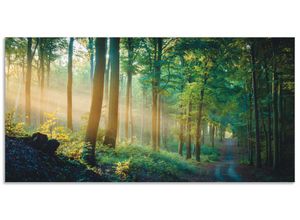 4062144664971 - Wandbild ARTLAND Herbstmorgen im Wald Bilder Gr B H 100 cm x 50 cm Alu-Dibond-Druck Waldbilder Querformat 1 St grün Kunstdrucke als Alubild Leinwandbild Wandaufkleber oder Poster in versch Größen