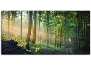 4062144664995 - Wandbild ARTLAND Herbstmorgen im Wald Bilder Gr B H 100 cm x 50 cm Leinwandbild Waldbilder Querformat 1 St grün Kunstdrucke als Alubild Leinwandbild Wandaufkleber oder Poster in versch Größen