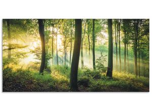 4062144665138 - Wandbild ARTLAND Herbst im Wald II Bilder Gr B H 100 cm x 50 cm Alu-Dibond-Druck Waldbilder Querformat 1 St grün Kunstdrucke als Alubild Leinwandbild Wandaufkleber oder Poster in versch Größen