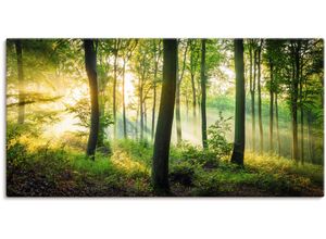 4062144665152 - Wandbild ARTLAND Herbst im Wald II Bilder Gr B H 100 cm x 50 cm Leinwandbild Waldbilder Querformat 1 St grün Kunstdrucke als Alubild Leinwandbild Wandaufkleber oder Poster in versch Größen