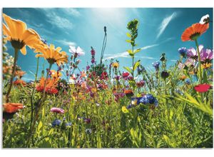 4062144669266 - Wandbild ARTLAND Buntes Blumenfeld Bilder Gr B H 90 cm x 60 cm Alu-Dibond-Druck Blumenwiese Querformat 1 St bunt Kunstdrucke als Alubild Leinwandbild Wandaufkleber oder Poster in versch Größen