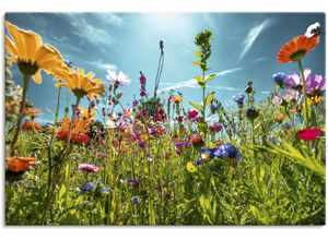 4062144669334 - Wandbild ARTLAND Buntes Blumenfeld Bilder Gr B H 90 cm x 60 cm Leinwandbild Blumenwiese Querformat 1 St bunt Kunstdrucke als Alubild Leinwandbild Wandaufkleber oder Poster in versch Größen