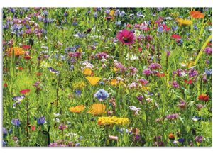 4062144669457 - Wandbild ARTLAND Bunte Blumenwiese Bilder Gr B H 120 cm x 80 cm Alu-Dibond-Druck Blumenwiese Querformat 1 St bunt Kunstdrucke als Alubild Leinwandbild Wandaufkleber oder Poster in versch Größen