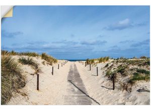 4062144675519 - Wandbild ARTLAND Strandaufgang an Küste der Ostsee Bilder Gr B H 60 cm x 40 cm Wandaufkleber - Vinyl Strandbilder Querformat 1 St blau Kunstdrucke als Alubild Leinwandbild Wandaufkleber oder Poster in versch Größen