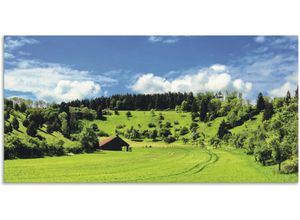 4062144679586 - Wandbild ARTLAND Traumhafte Landschaft im Schwarzwald Bilder Gr B H 100 cm x 50 cm Alu-Dibond-Druck Wiesen & Baumbilder Querformat 1 St grün Kunstdrucke als Alubild Leinwandbild Wandaufkleber oder Poster in versch Größen