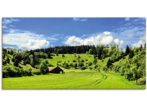 4062144679609 - Wandbild ARTLAND Traumhafte Landschaft im Schwarzwald Bilder Gr B H 100 cm x 50 cm Leinwandbild Wiesen & Baumbilder Querformat 1 St grün Kunstdrucke als Alubild Leinwandbild Wandaufkleber oder Poster in versch Größen