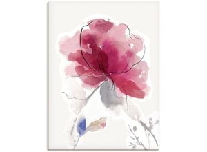 4062144699713 - Wandbild ARTLAND Rosige Blüte II Bilder Gr B H 60 cm x 80 cm Leinwandbild Blumenbilder Hochformat 1 St pink Kunstdrucke als Alubild Leinwandbild Wandaufkleber oder Poster in versch Größen